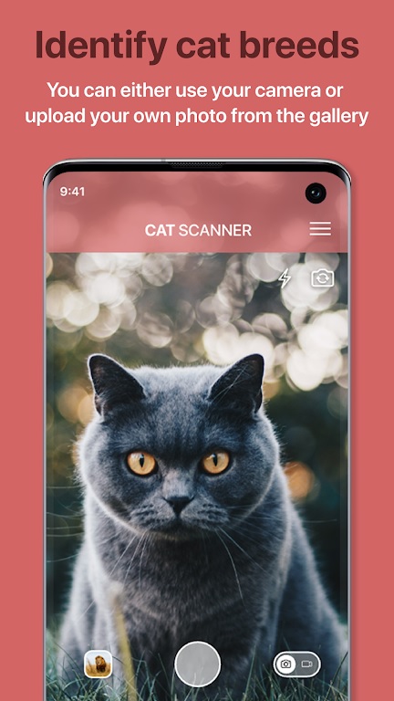 Cat Scannerè°v13.0.1ͼ0