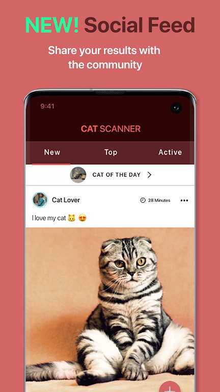 Cat Scannerè°v13.0.1ͼ1