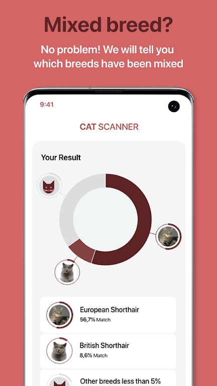 Cat Scannerè°v13.0.1ͼ3