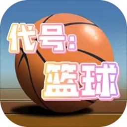 代号篮球最新版v1.0