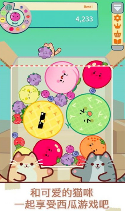 èϷ(Cat & Watermelon)v1.0.0ͼ2