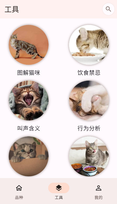 èƷִȫapp°v1.0.6ͼ0