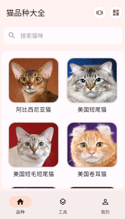 èƷִȫapp°v1.0.6ͼ2