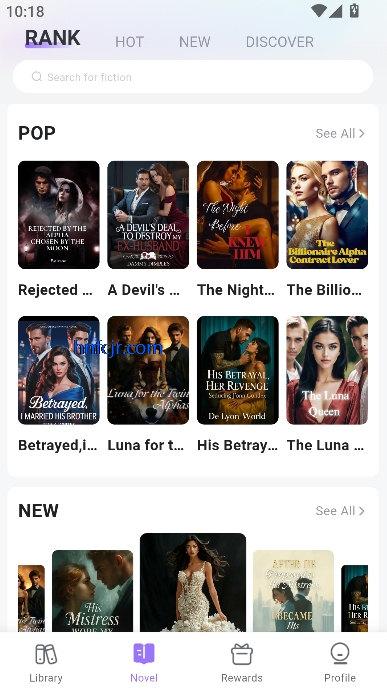 RocNovelС˵app°