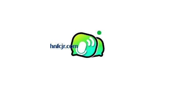˵app