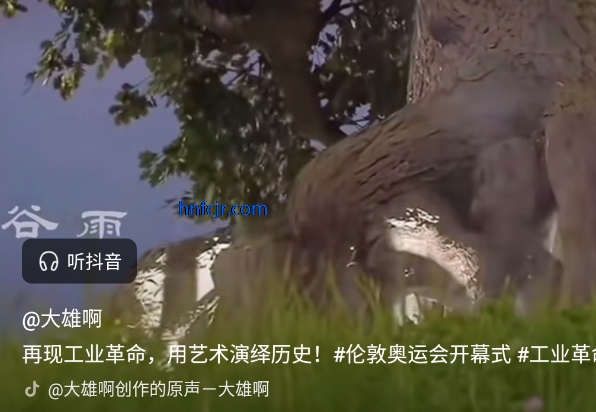 车鱼视听官方版 车鱼视听官方版