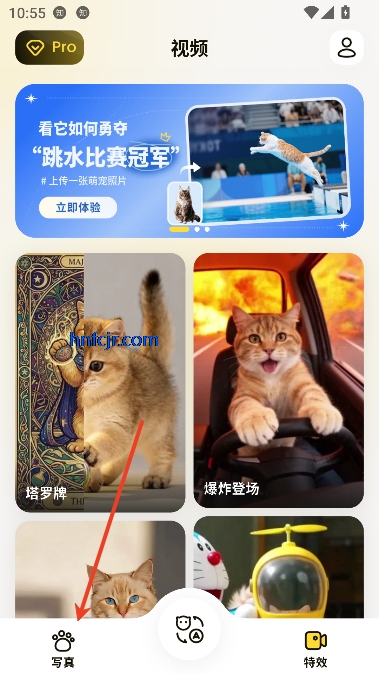 宠玩app宠物对话 宠玩app宠物对话