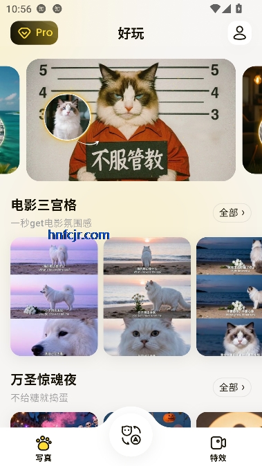 宠玩app宠物对话 宠玩app宠物对话