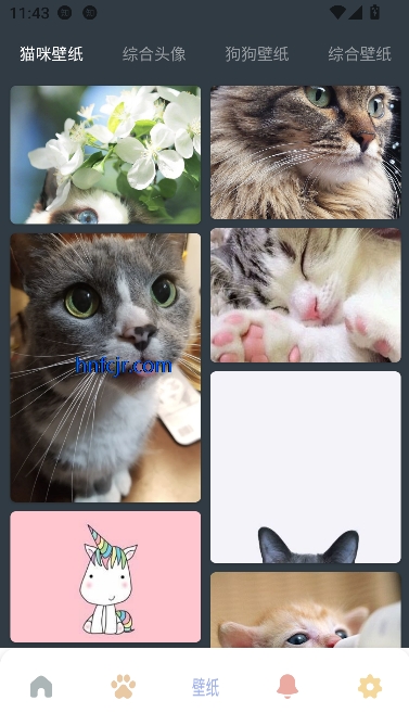 Fatty cat最新版本 Fatty cat最新版本