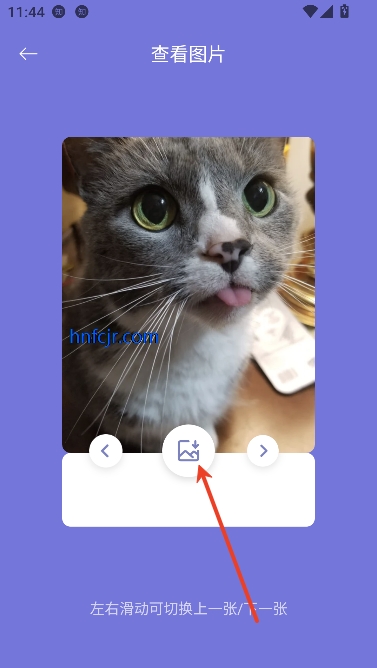 Fatty cat最新版本 Fatty cat最新版本