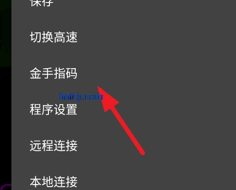 口袋妖怪日月宝石八木特别篇金手指版 口袋妖怪日月宝石八木特别篇金手指版