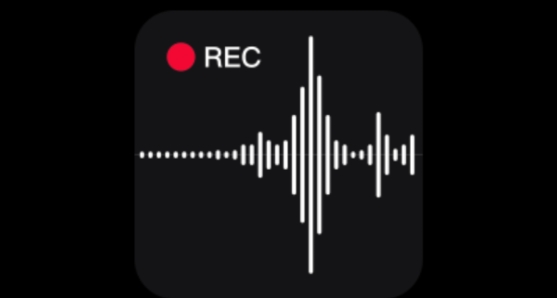 录音专家app官方正版 录音专家app官方正版