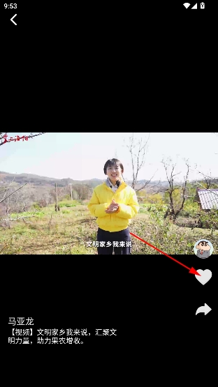 掌上洛阳 掌上洛阳