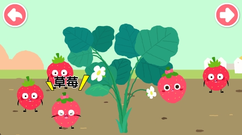 jojo认知启蒙app jojo认知启蒙app