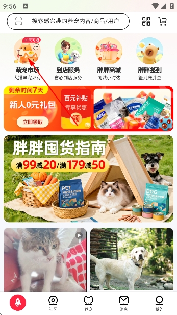 宠胖胖app官方版 宠胖胖app官方版