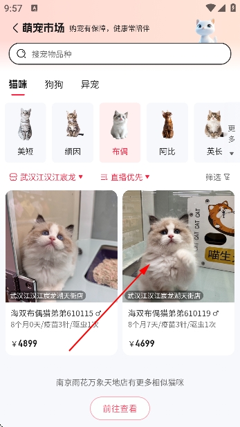 宠胖胖app官方版 宠胖胖app官方版