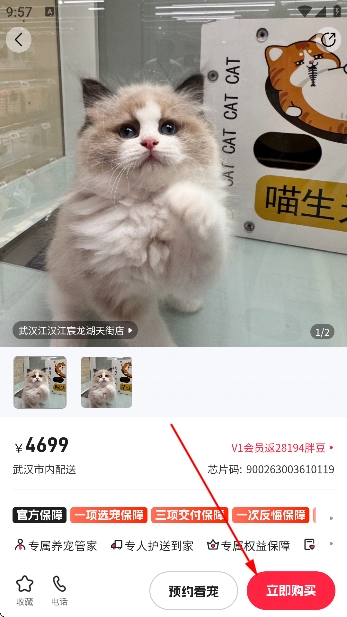 宠胖胖app官方版 宠胖胖app官方版