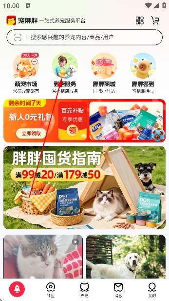 宠胖胖app官方版 宠胖胖app官方版