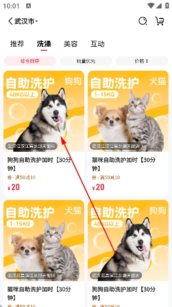 宠胖胖app官方版 宠胖胖app官方版