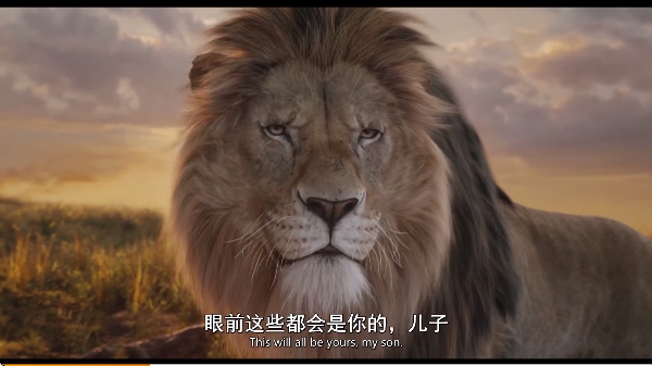 国产精品视频app免费版 国产精品视频app免费版