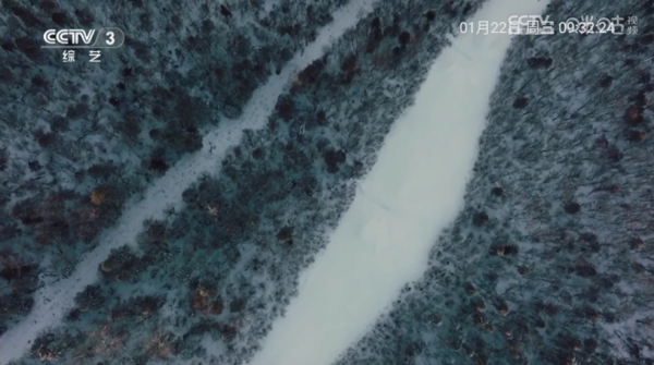 西夏直播tv免费版 西夏直播tv免费版