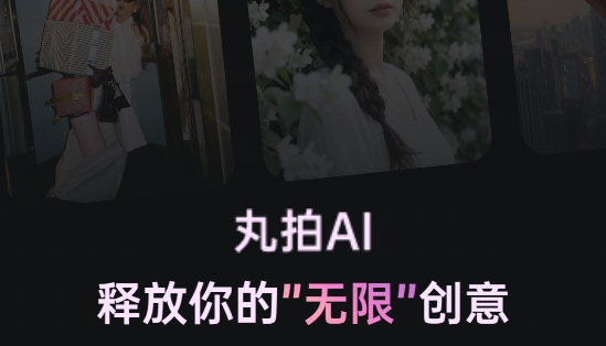 丸拍ai官方版 丸拍ai官方版