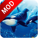 ����ģ�����ƽ�����޾����(The Killer Whale)v1.2.4 ��׿��