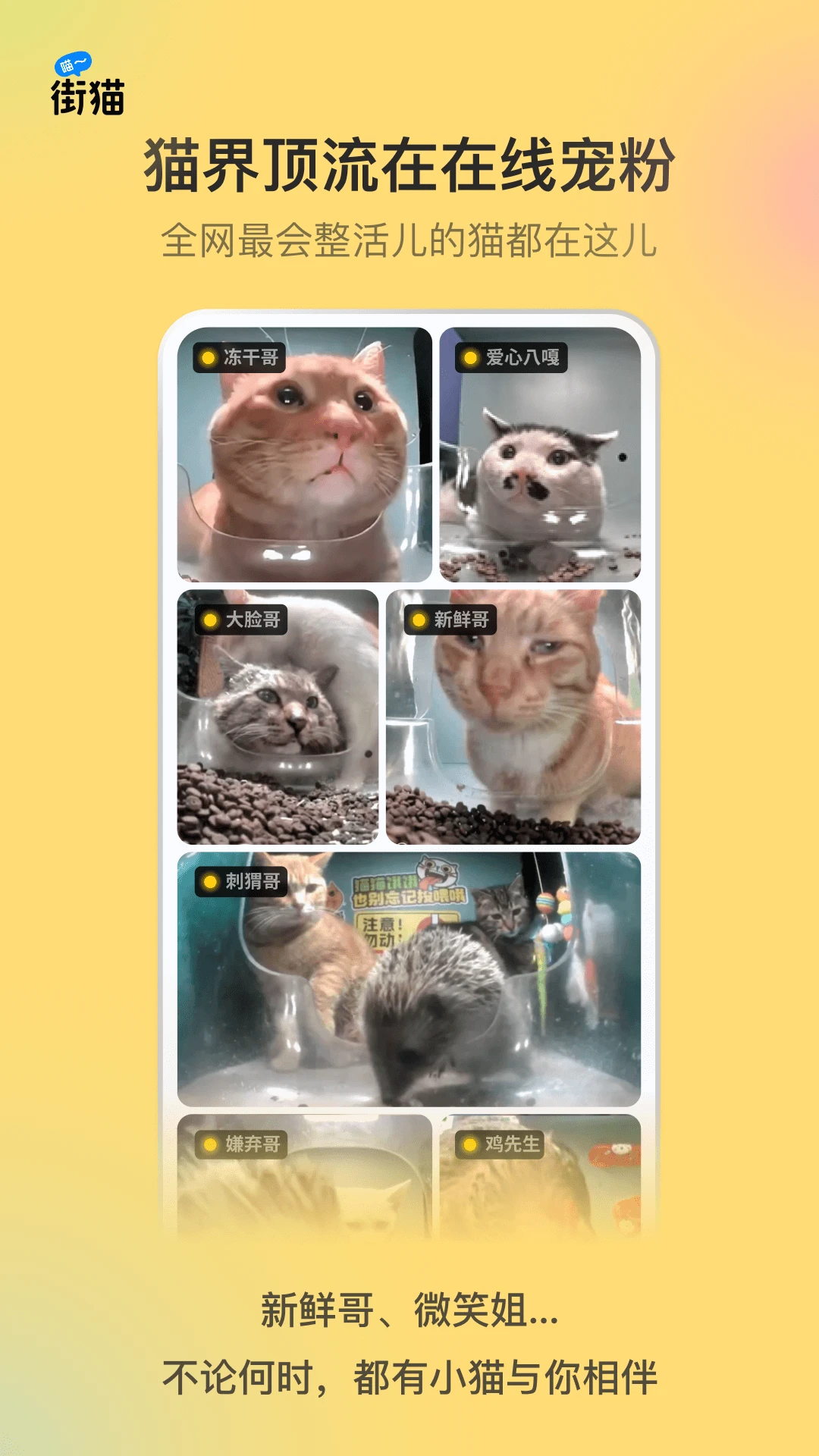 ������è2026���°��ͼ4