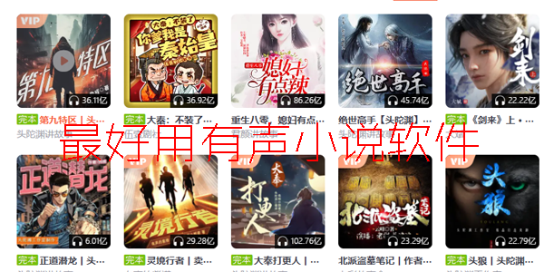 ���������С˵����