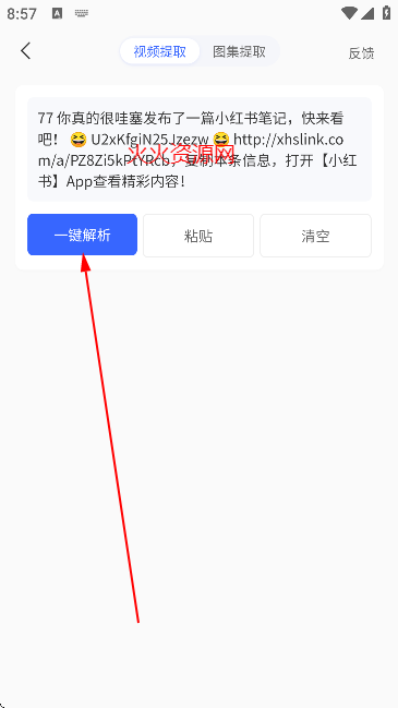 ӡappѰ