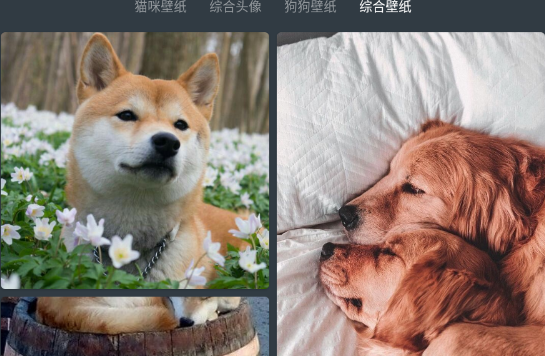 appٷ