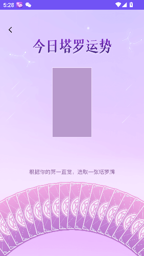 ׼׼app