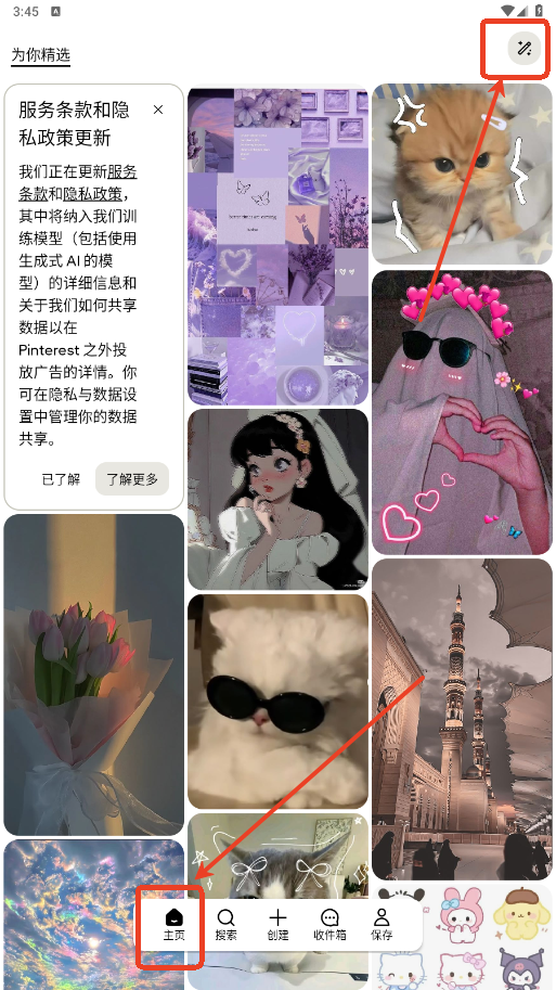 Pinterest׿ֻapp°