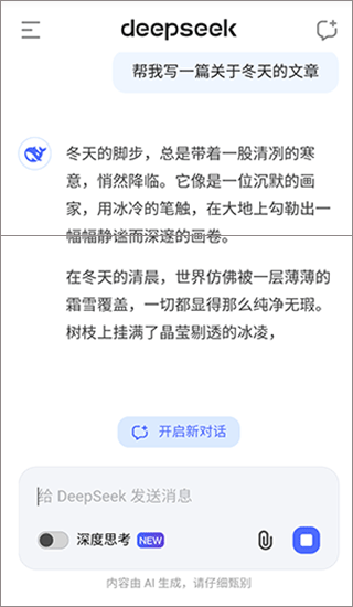 deepseek˰