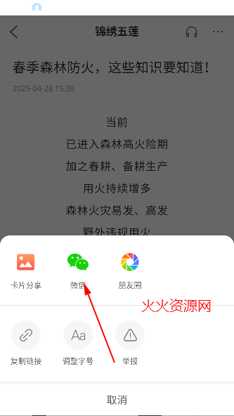 APP
