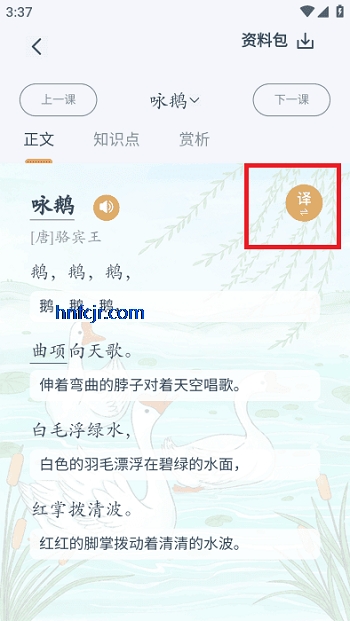 찮Ķapp