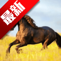 ĵTV°(YOUR TV) v1.7.6 ׿