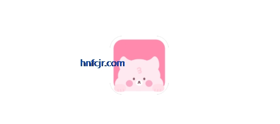BIMOBIMO AI°