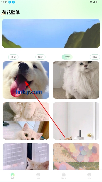 ɻֻֽֽapp
