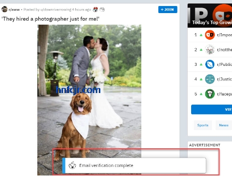 Reddit̳ٷ