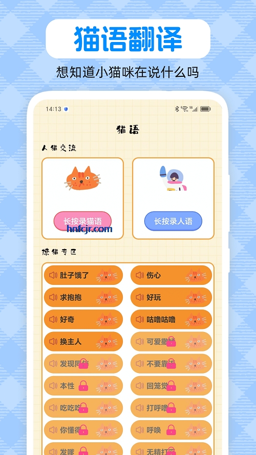 ﷭petԻapp°