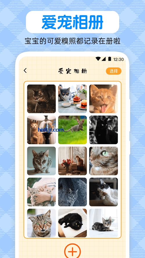 ﷭petԻapp°