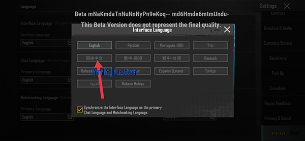 pubgعٷ
