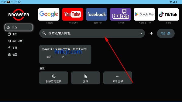 BROWSERTV