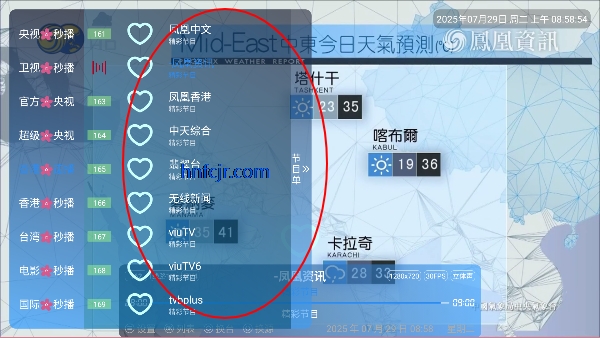 ĺֱTV