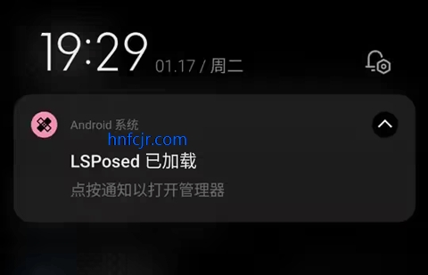 lsproot