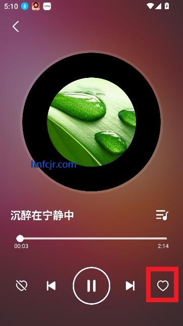 DJapp°汾