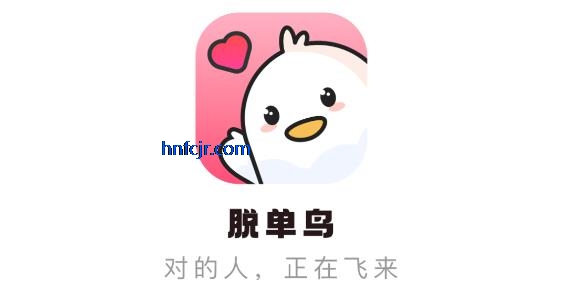 ѵapp
