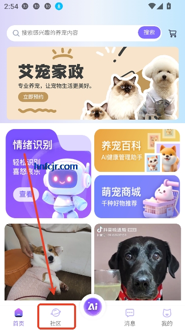 app