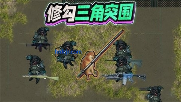 ޹޾Ӣ